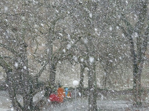 Meteo: Vreme deosebit de rece în București, cu maxime negative și strat nou de zăpadă, până miercuri dimineața