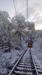 Vreme deosebit de rece, viscol, brumă și îngheț la sol. Circulația feroviară, afectată
