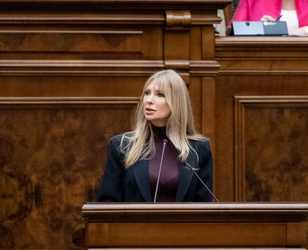Victoria Stoiciu (PSD): Legea femicidului nu discriminează, protejează toate victimele violenței domestice