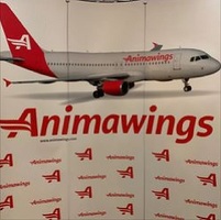 O nouă companie aeriană își încearcă norocul în România, dar numai pentru curse charter, cu doar două avioane, având în spate și un fost director la Autoritatea Aeronautică Civilă Română și un fost șef de cabină Tarom