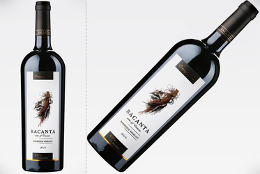 Vinul de azi: Bacanta Barrique Merlot 2016 - Medalie de Aur Mundus Vini 2021