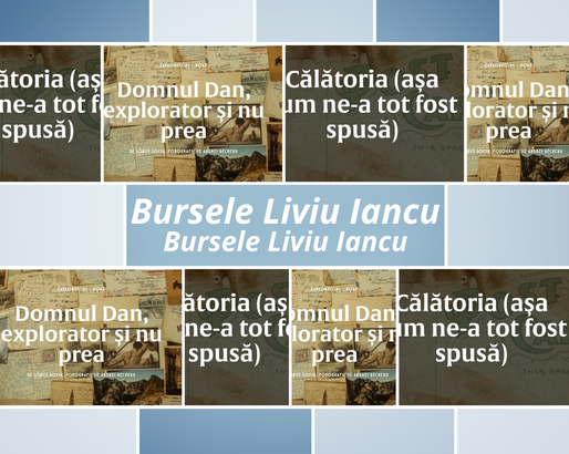 Bursele Liviu Iancu pentru jurnaliști - câștigătorul lunii martie