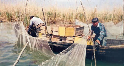 Pescarii din Deltă se modernizează. După 30 de ani renunță la bărcile din tablă