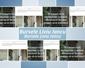 Bursele Liviu Iancu pentru jurnaliști - câștigătorul lunii septembrie