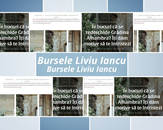Bursele Liviu Iancu pentru jurnaliști - câștigătorul lunii septembrie