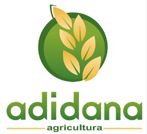 ROCA Investments majorează capitalul RDF și preia pachetul majoritar, iar RDF achiziționează integral compania Adidana