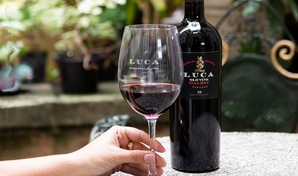 Vinul de azi: Luca Old Vine Malbec 2019 - 95 puncte James Suckling