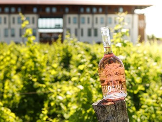 Vinul de azi: Arrogance Pinot Noir Rose Bio 2021