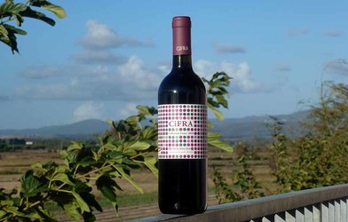 Vinul de azi: CiFRA 2017 -  91 puncte Robert Parker