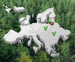 Holdingul românesc Green Group, având în spate fondul de investiții Abris, cumpără în străinătate
