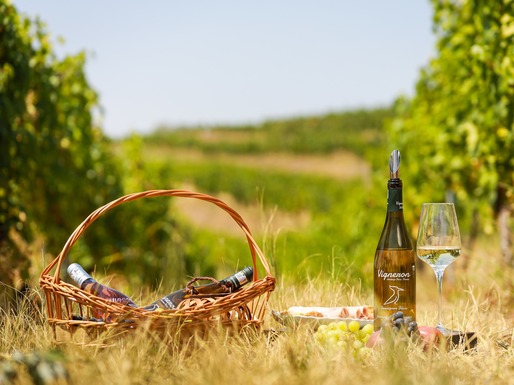 Vinul de azi: Vigneron Sauvignon Blanc 2021