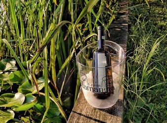 Vinul de azi: Pagaia Sauvignon Blanc 2021