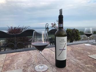 Vinul de azi: Don Pelerin Cabernet Franc 2016