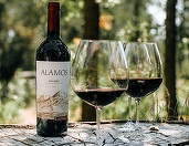 Vinul de azi: Alamos Malbec 2021