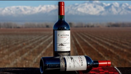 Vinul de azi: Catena Malbec High Mountain Vines 2019 -  92 puncte Robert Parker