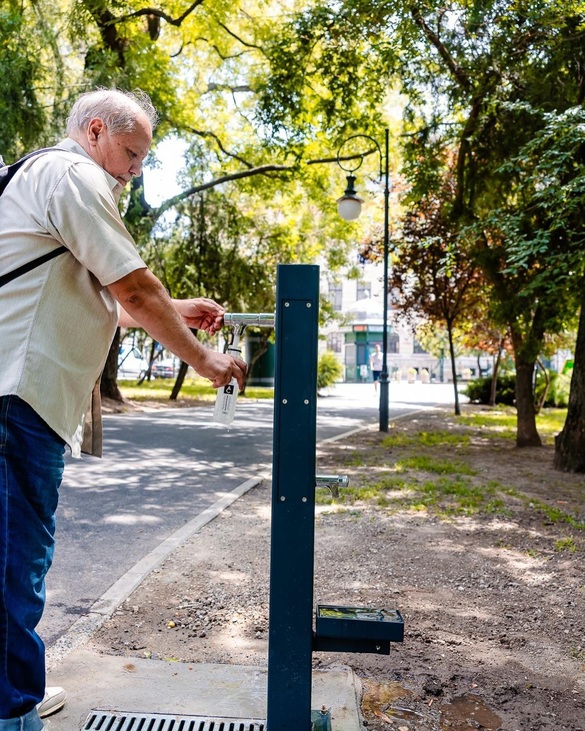 FOTO Începe montarea de cișmele noi, cu adăpătoare pentru animale, în parcurile bucureștene