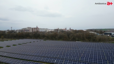VIDEO Antibiotice Iași, cu afaceri și profit record, și-a fixat ținta după ce a lansat o centrală fotovoltaică: 90% energie din surse regenerabile