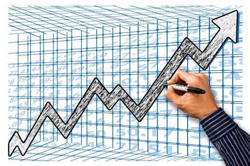 TOP Cei mai mari 50 de angajatori din România. Curiozități din clasament