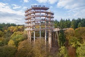 FOTO Germanii aduc la Brașov conceptul Treetop Walk