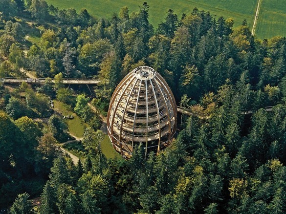 FOTO Germanii aduc la Brașov conceptul Treetop Walk