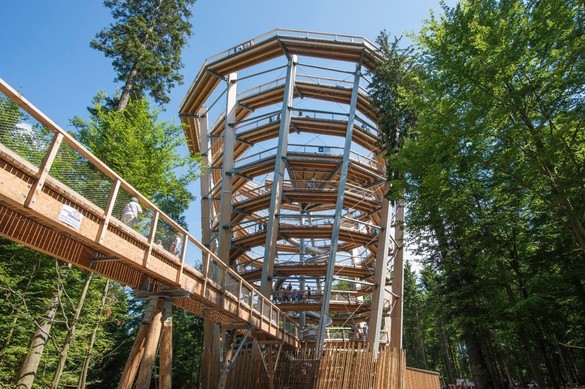 FOTO Germanii aduc la Brașov conceptul Treetop Walk