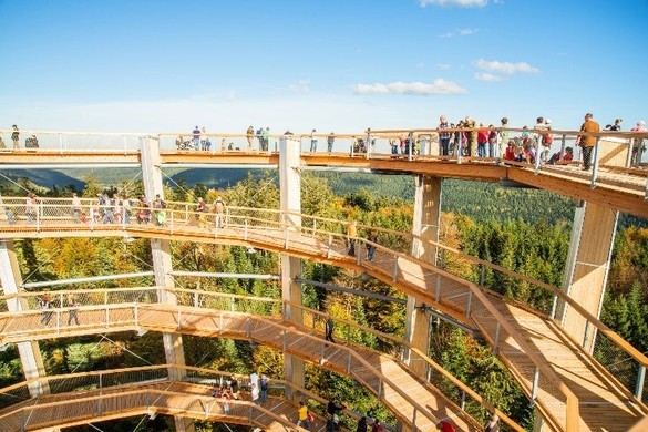 FOTO Germanii aduc la Brașov conceptul Treetop Walk