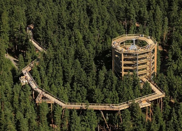 FOTO Germanii aduc la Brașov conceptul Treetop Walk