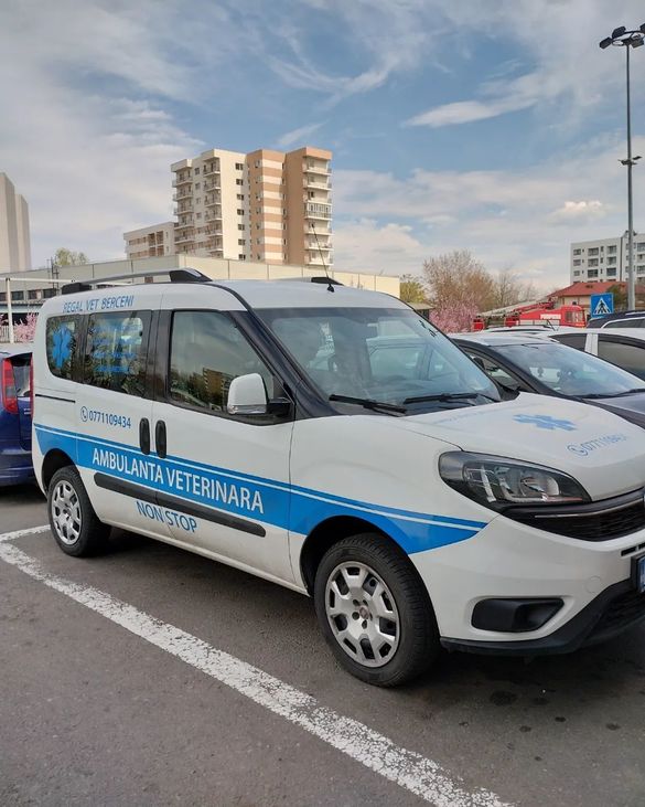 FOTO Tranzacție - Principalul furnizor de servicii veterinare din Polonia, o nouă achiziție în România