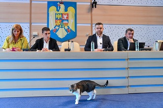 FOTO ANUNȚ Apare un mare parc în București, pe foste sere militare