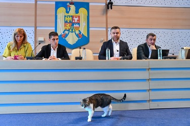 FOTO ANUNȚ Apare un mare parc în București, pe foste sere militare