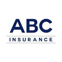 EXCLUSIV SURPRIZĂ Cel mai mare constructor de rețele electrice din România preia ABC Insurance