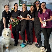 FOTO PartnerVet, sprijinit de D Craig Holding și de Vetimex Capital, continuă extinderea operațiunilor și preia o clinică de stomatologie veterinară 