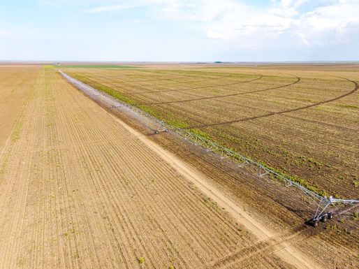 FOTO JD Agro Cocora a investit peste 2 milioane euro într-un sistem modern de irigații 