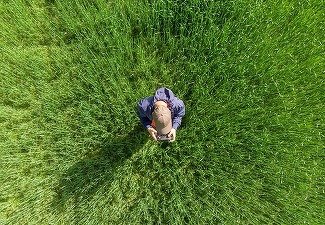 Apar dronele agricole și în România