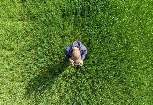 Apar dronele agricole și în România