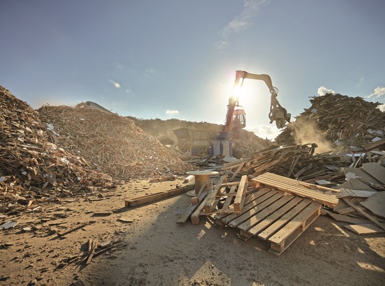 EGGER Romania, bornă majoră privind economia circulară: 1 milion de tone de lemn colectat prin rețeaua Timberpak 