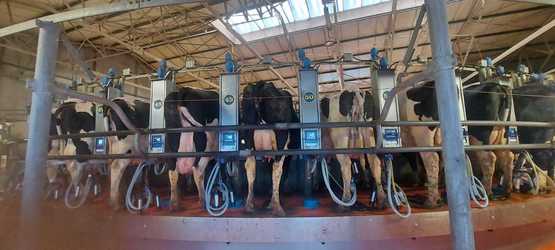 Nouă fabrică în România - DN Agrar, cu acționariat majoritar din Olanda, accesează un credit de la Exim Banca Românească pentru noua investiție