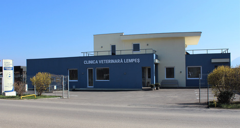 FOTO PartnerVet se extinde în Brașov și preia clinica veterinară Lempeș