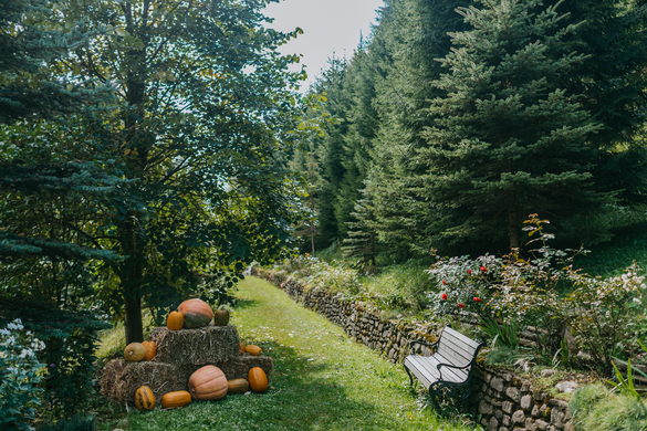 Fostul pavilion de vânătoare al lui Ceaușescu, vândut FOTO
