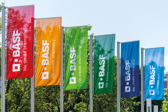 Locuri de muncă în România - BASF Agricultural Solutions angajează în București, pregătind listarea la bursă prin IPO