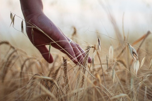 AgroTV, în parteneriat cu Profit.ro, organizează conferința „Diplomație în agribusiness. Provocări și oportunități într-un context global în schimbare”