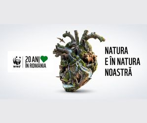 Colaborare pentru natură rezilientă: 20 de ani de impact WWF-România