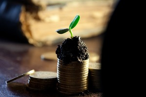 Tudose, după ce Ministerul Energiei a cerut companiilor de stat să vireze bani la buget sub formă de dividende: Le-am luat acum pentru că acum ne trebuie