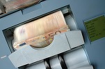 Euro a crescut spre 4,77 lei. Lira sterlină, cel mai mic nivel din ultimele trei luni