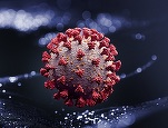 Scăderi abrupte pe bursele europene din cauza restricțiilor anunțate după descoperirea noii tulpini a coronavirusului