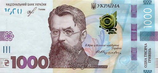 Banca Centrală a Ucrainei a devalorizat moneda națională cu 25% față de dolarul american