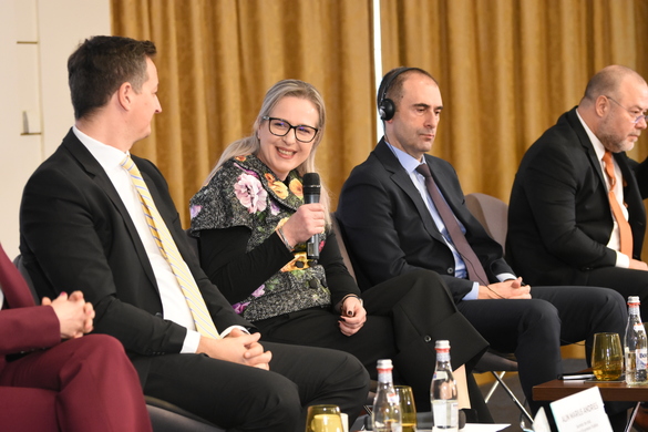 VIDEO Profit Financial.forum - Impredictibilitatea a devenit cel mai predictibil lucru pentru economia României. Bancherii nu văd însă nicio criză majoră în 2025, în România. Cu excepția unei lebede negre!