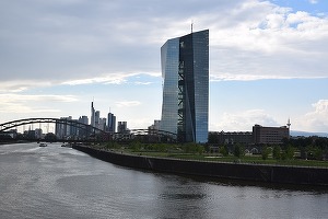 BCE: Gospodăriile din zona euro vor continua să economisească, pentru a-și reface avuția