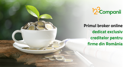123Companii.ro — primul broker online dedicat exclusiv creditelor pentru firme din România
