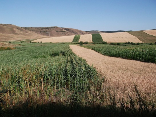 Capitalizare importantă la Agricover Credit din profitul nedistribuit
